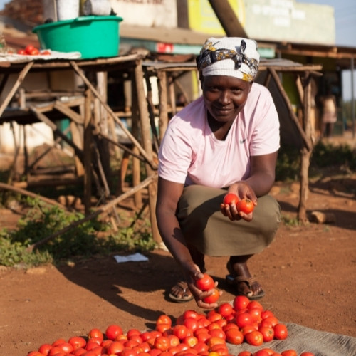 Kenyan woman entrepreneur | Entrepreneurship | Our Impact | Take Heart Africa